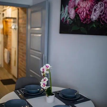 Csipke Apartment *
