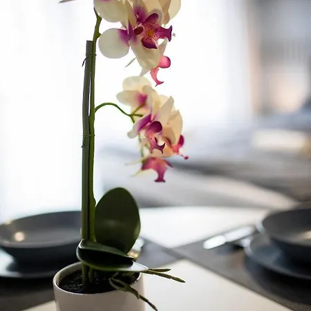 Csipke Апартаменты Мако